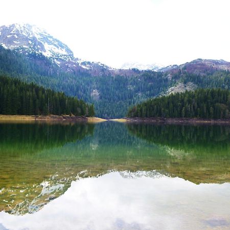 GuestHouse Zabljak Zewnętrze zdjęcie